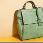 GRYSON HANDBAGS AND ACCESSORIES
